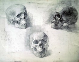 Lia Aminov skull drawing.jpg