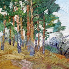 Lia Aminov Pine trees V, 30x30 cm, 2020.jpg